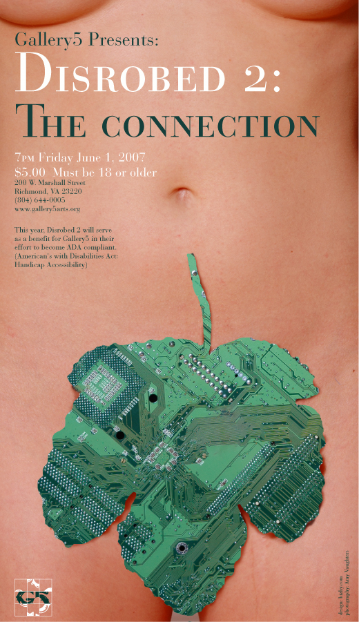 disrobed ii poster